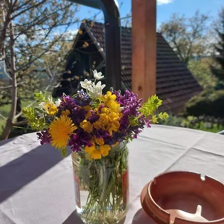 Σπίτι διακοπών Lazarevi Konaci Užice