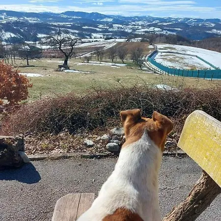 Lazarevi Konaci Σπίτι διακοπών Užice